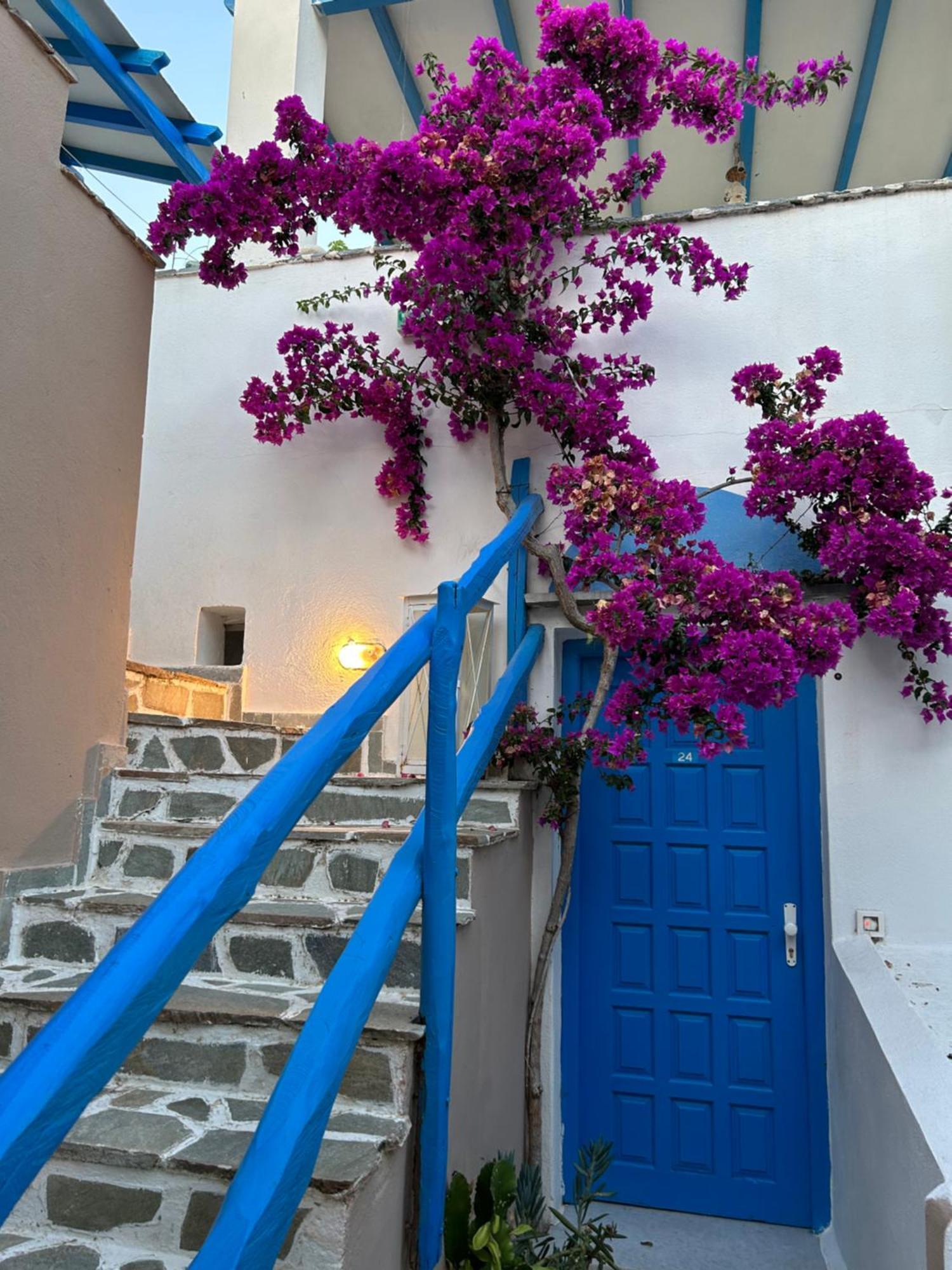 Sea View Apartments & Studios Agia Anna  Extérieur photo
